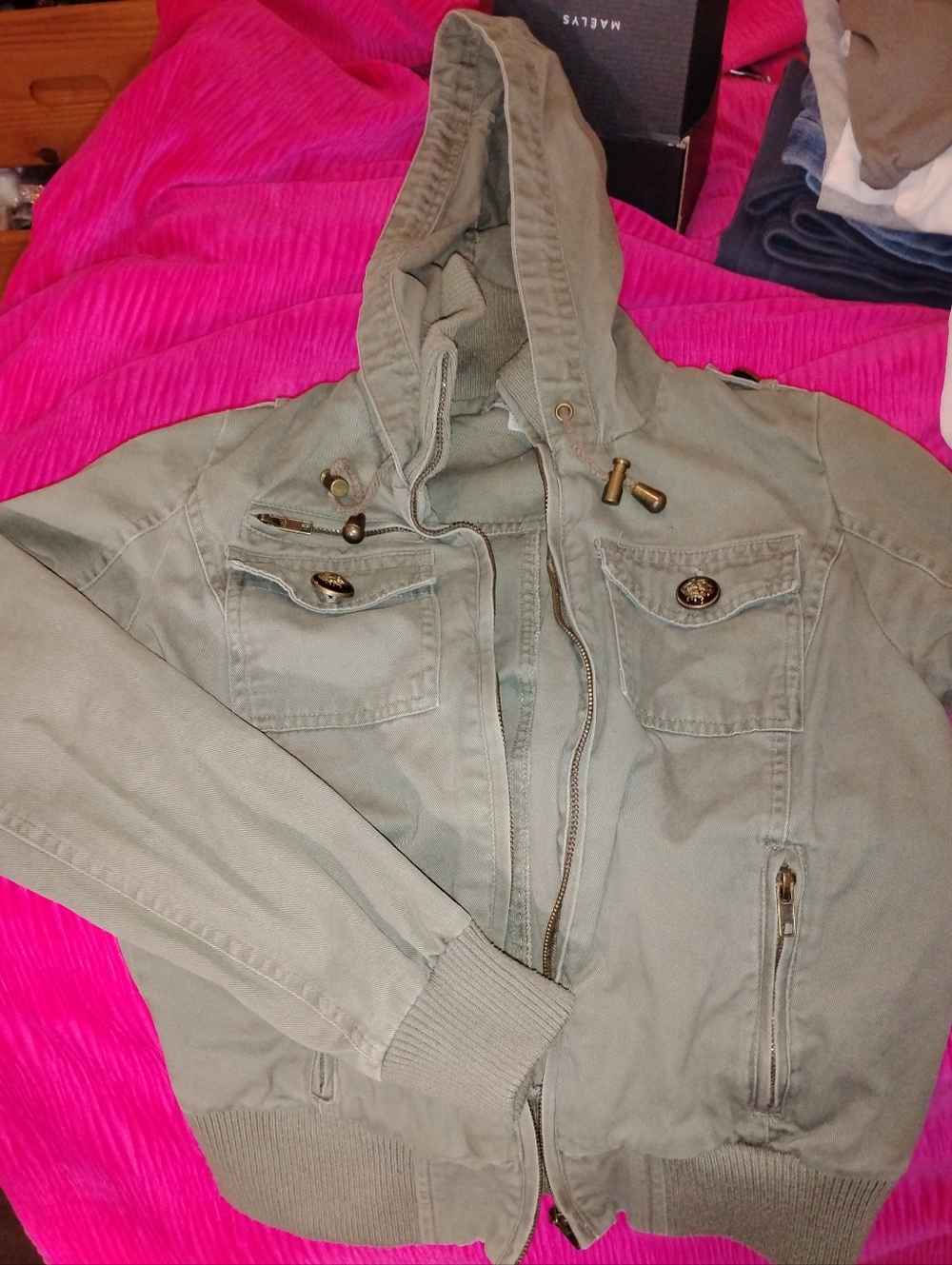 Hooded Military Style Utility Jacket in Sage Green